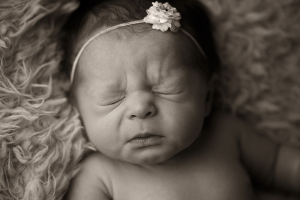 Greater Cincinnati Newborn Photographer 